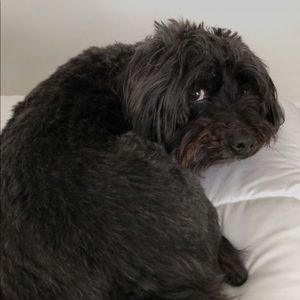 Meet your Posher, Kami